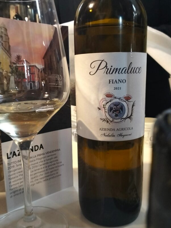 A relatively new Cilento winery