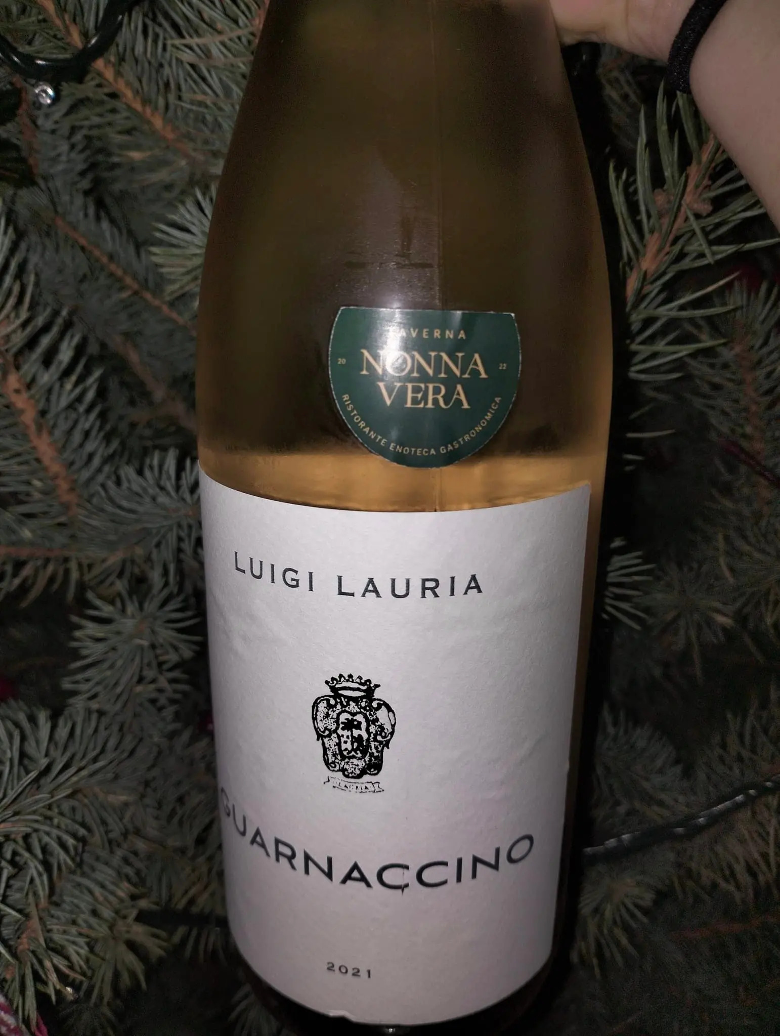 Guarnaccino - Ancient vine in Basilicata